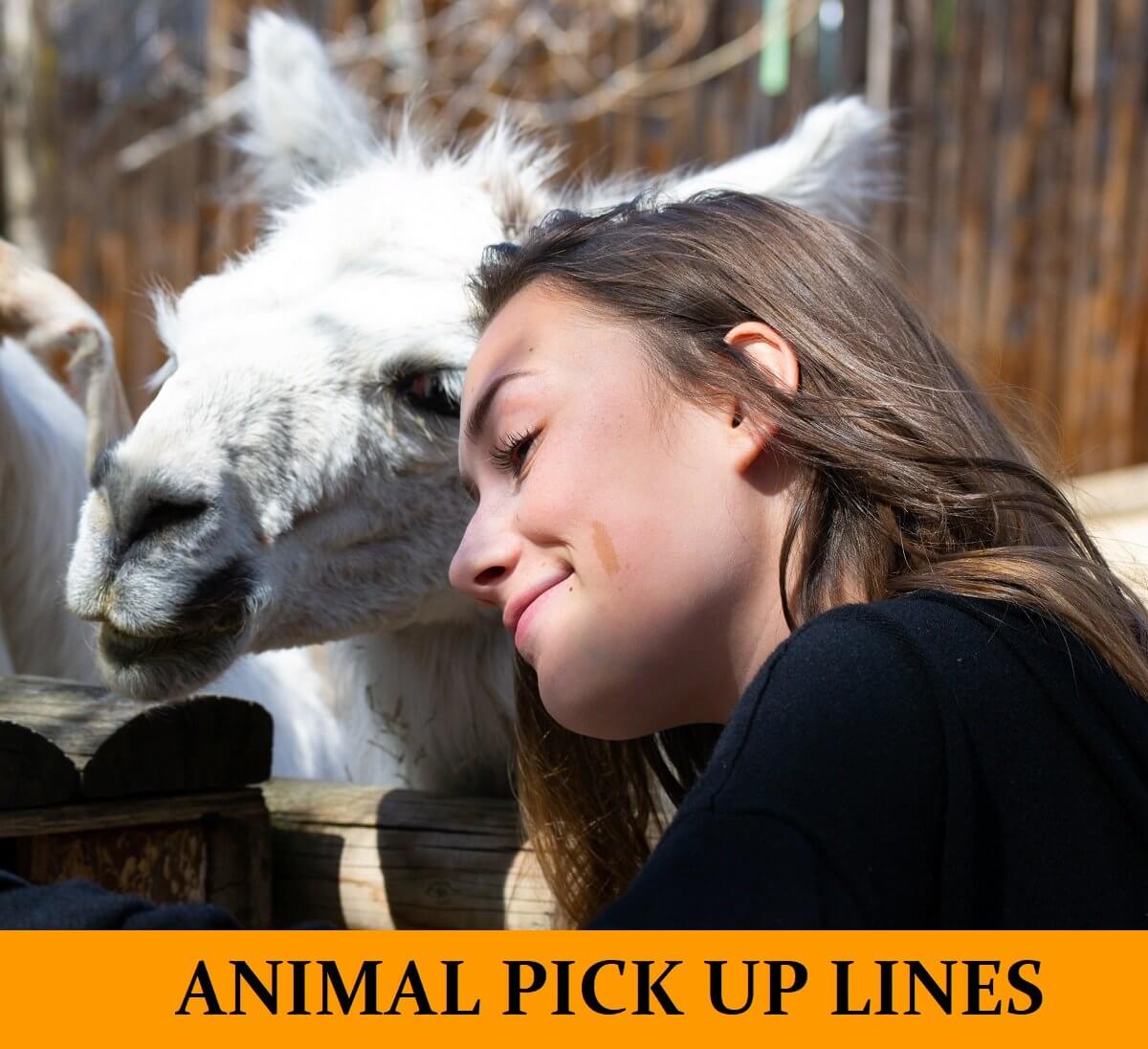 Pick Up Lines Based on Animals