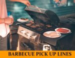 Pick Up Lines for Barbecue Party