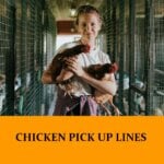Pick Up Lines About Chickens