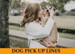 Pick Up Lines Inspired by Dogs