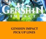 Genshin Impact Pick Up Line