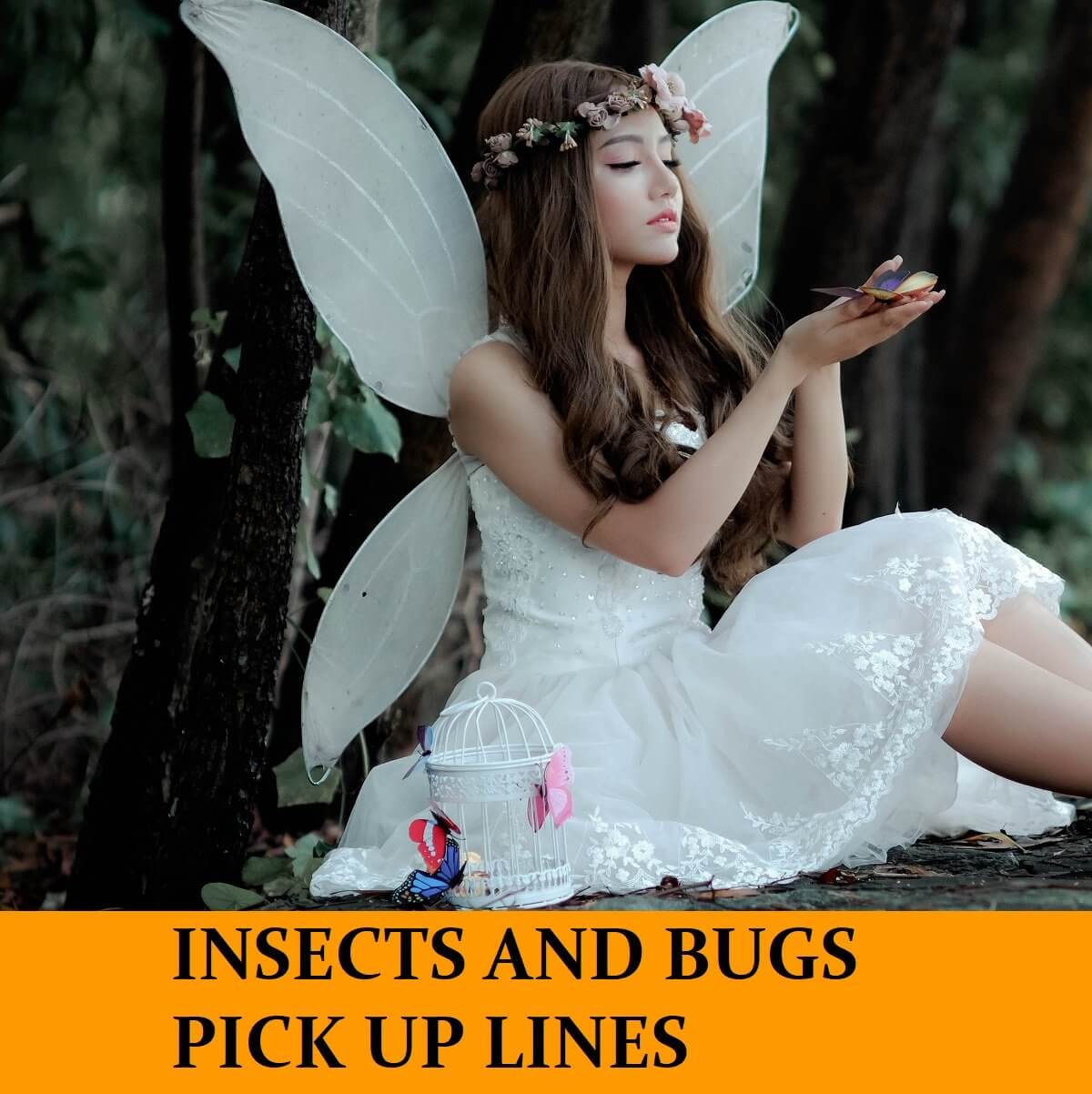 Pick Up Lines Based on Insects and Bugs