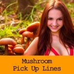 Sexy Pick Up Lines About Mushrooms