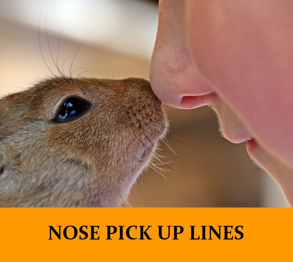 Pick Up Lines About Noses