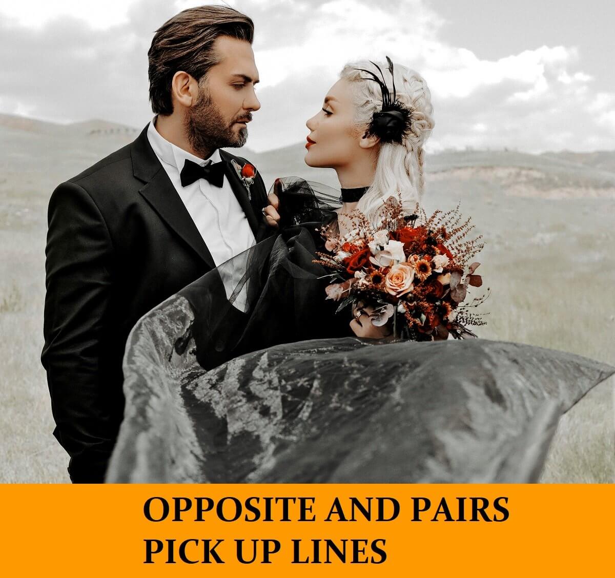 Pick Up Lines Inspired by Complementary Opposite and Pairs
