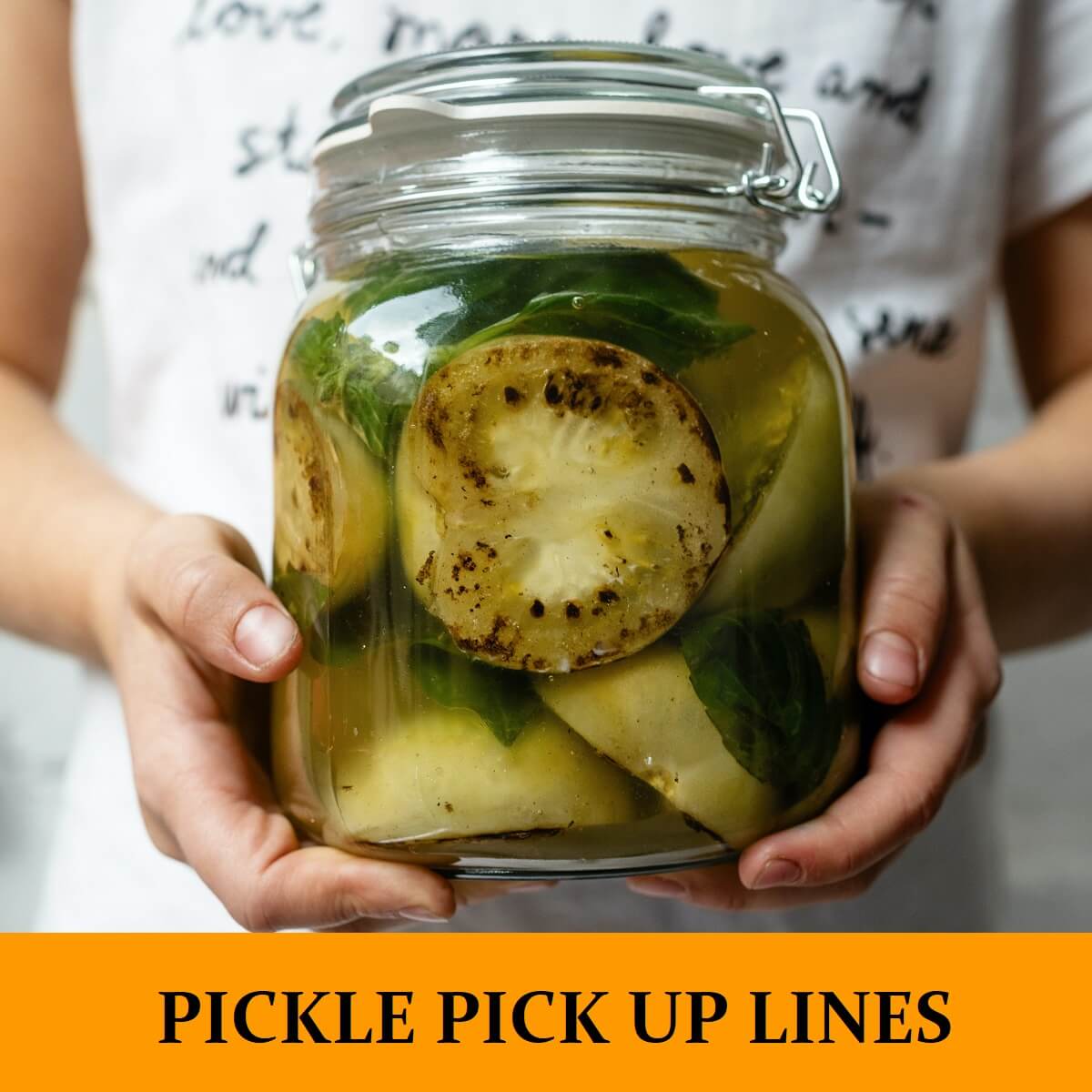 Pick Up Lines About Pickles