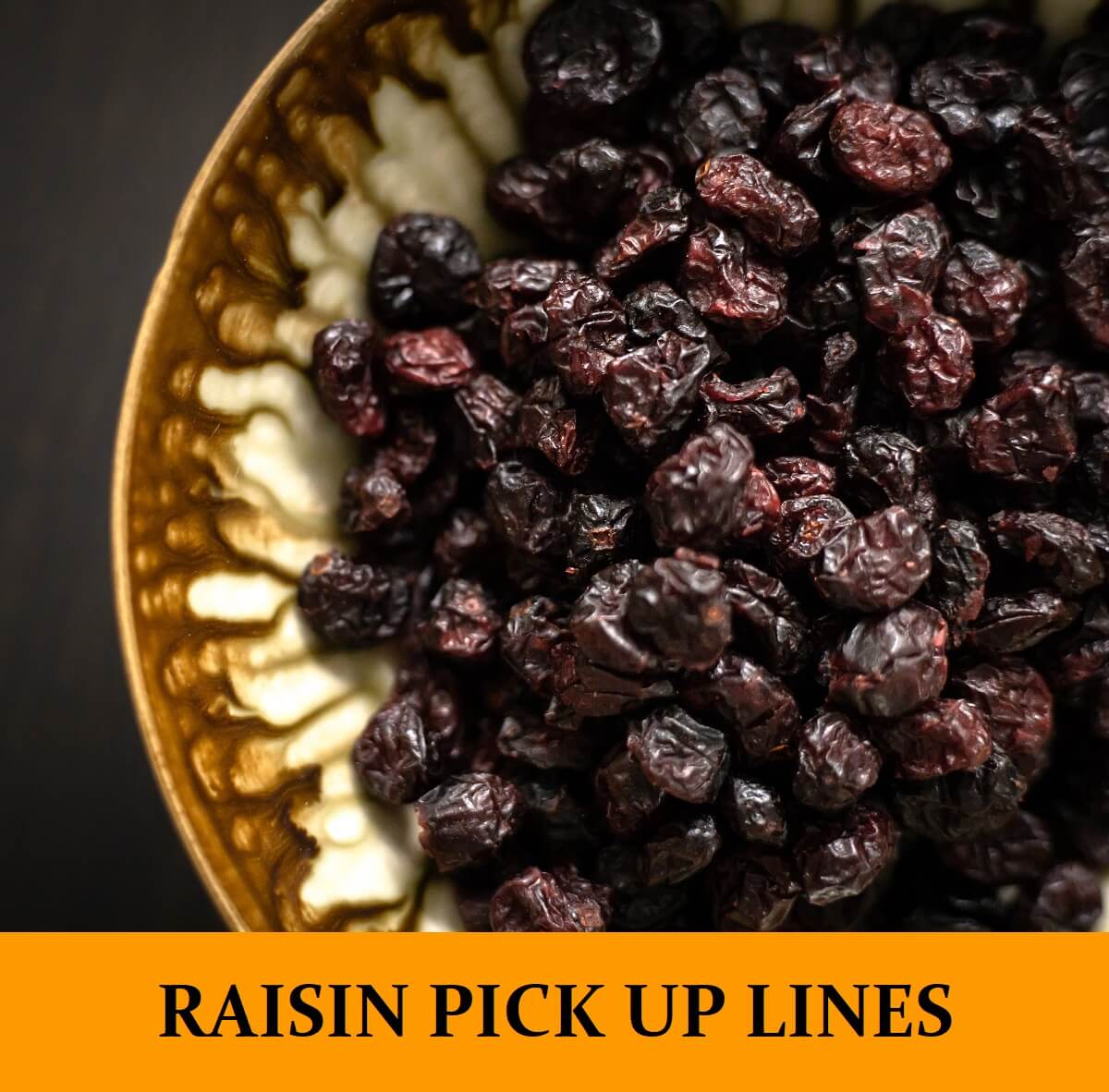 Pick Up Lines About Raisins