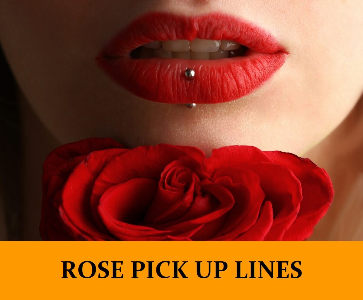 Pick Up Lines About Roses
