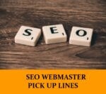 Pick Up Lines About SEO Webmaster