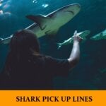 Pick Up Lines About Sharks