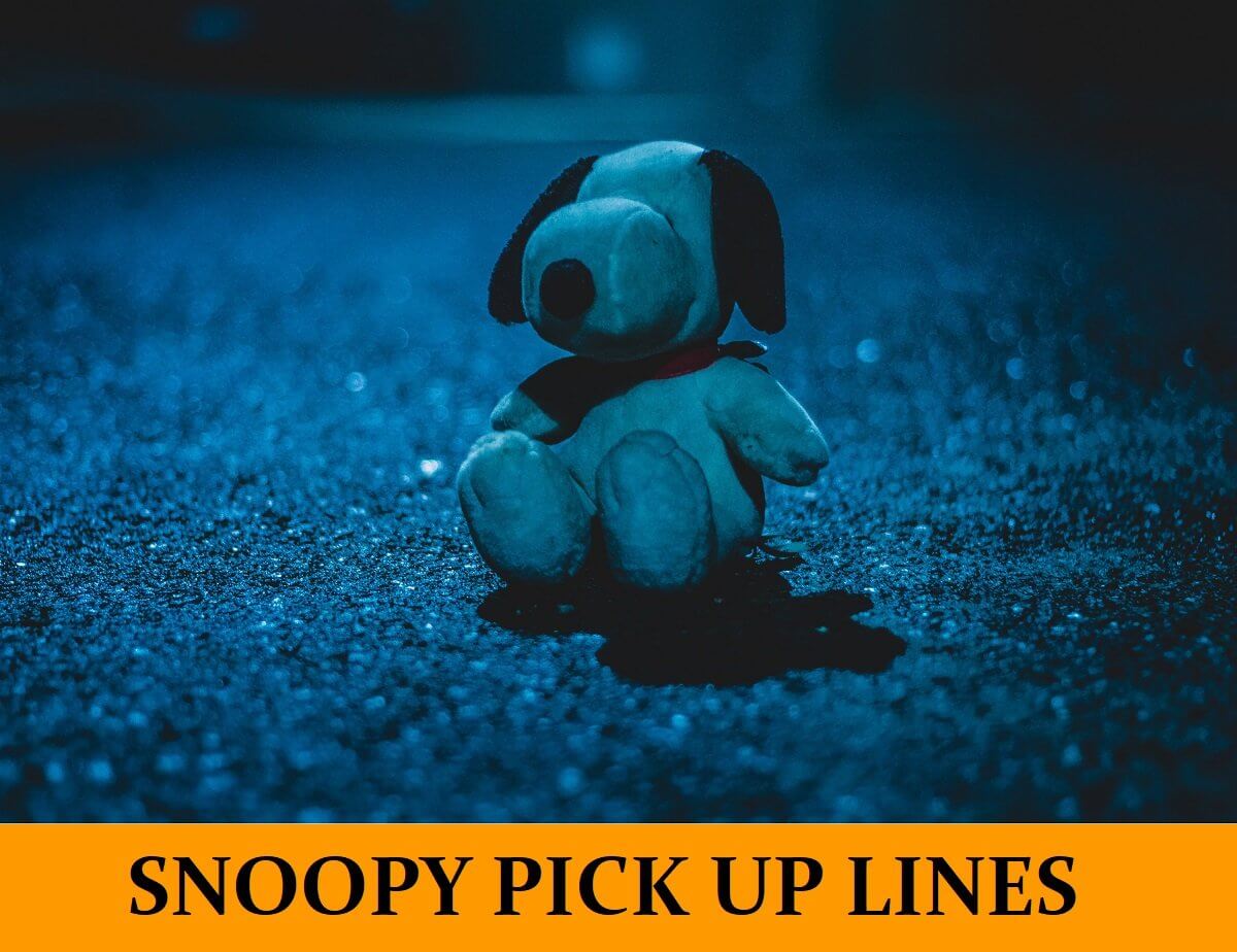 Pick Up Lines Inspired by Snoopy