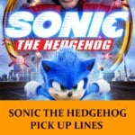 Pick Up Lines About Sonic the Hedgehog