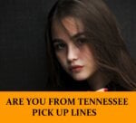Pick Up Lines of Are You From Tennessee