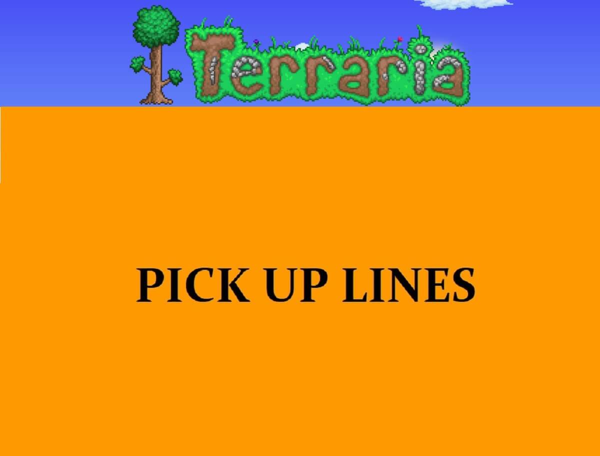 Pick Up Lines About Terraria Game