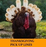 Pick Up Lines About Thanksgiving