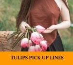Pick Up Lines About Tulips