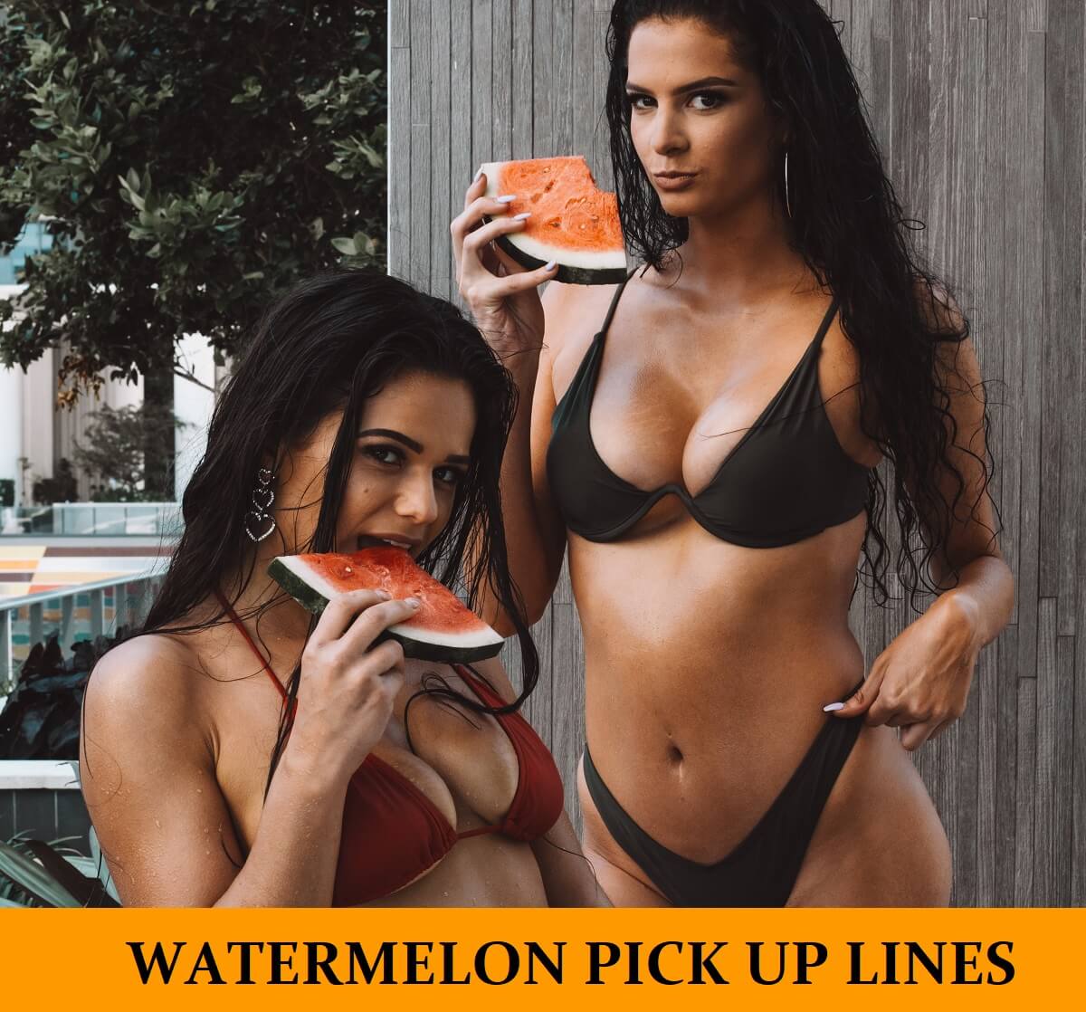 Pick Up Lines About Watermelons